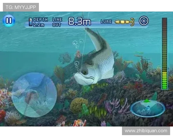 揭秘ag捕鱼王2中的热门鱼种与高爆率捕鱼技巧详解