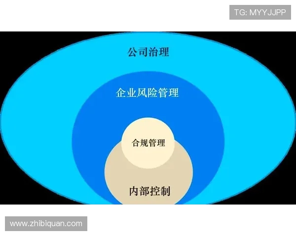 365国际在国际贸易中提供全方位的风险管理与合规咨询