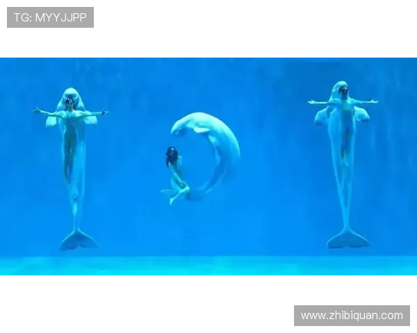 如何通过永利集团游戏官网快速注册并开始您的精彩游戏之旅